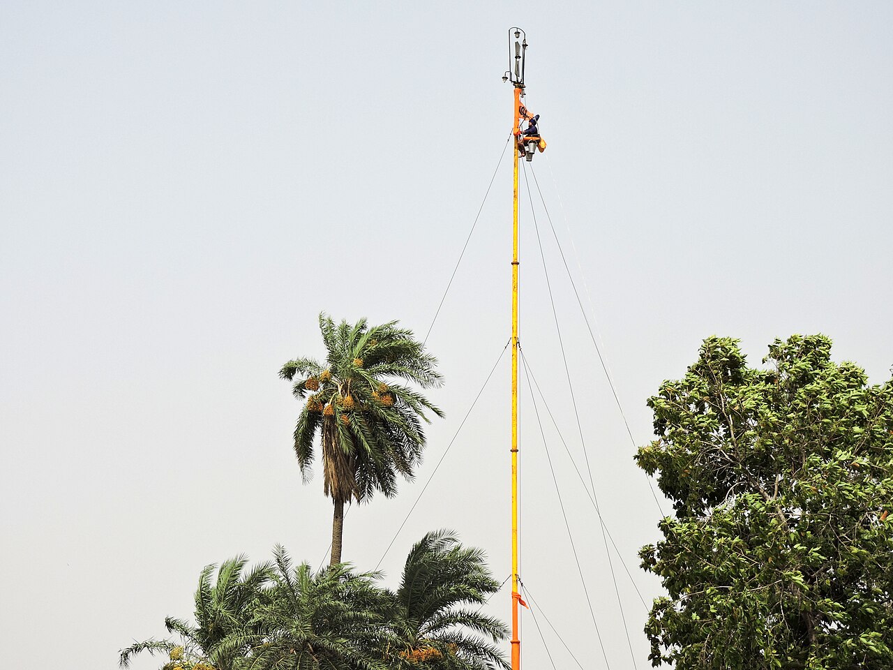 Nishan Sahib flag above the trees